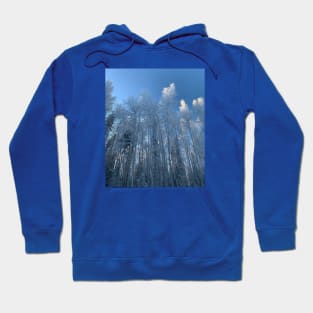 Winter in soldotna alaska Hoodie